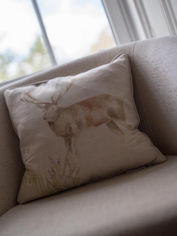 Coppice House Bed & Breakfast Callander Dış mekan fotoğraf